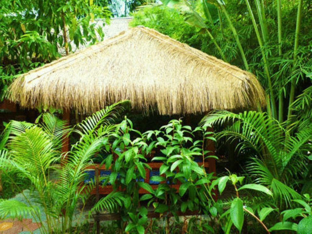 Forest King Hotel Siem Reap Exterior photo